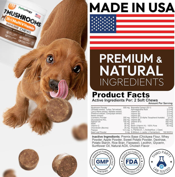 Mushroom Chews for Dogs 340 Count 2-Pack Turkey Tail Lion's Mane Shiitake & Reishi