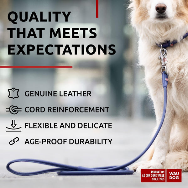 Rolled Leather Dog Leash 4 ft x 0.4 in All Sizes Purple