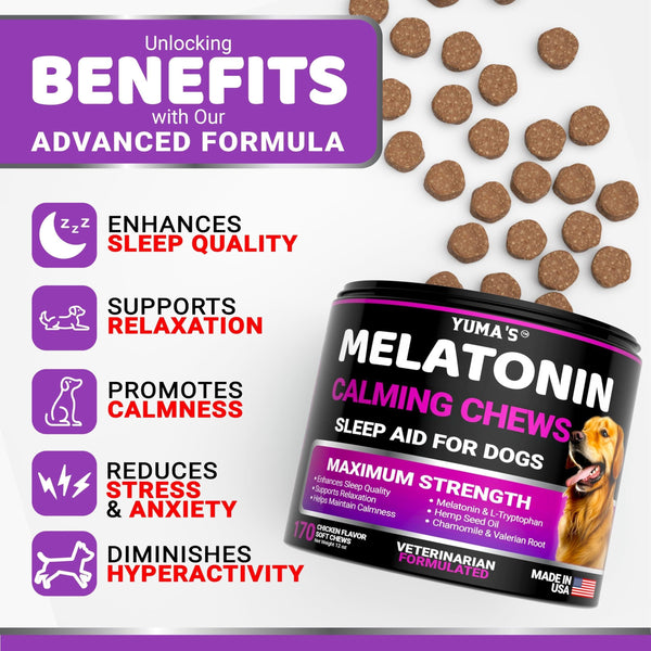 Melatonin Calming Chews for Dogs 170 Count Anxiety Relief