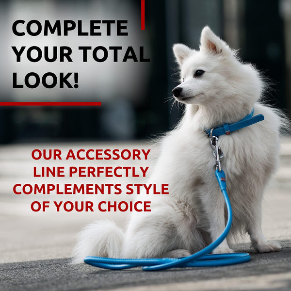 Rolled Leather Dog Leash 4 ft x 0.3 in All Sizes Blue