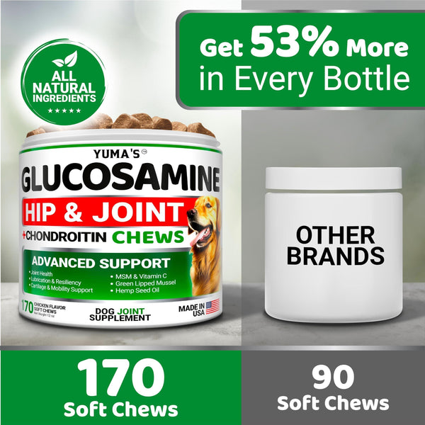 Glucosamine for Dogs Hip & Joint Supplement 170 Chews