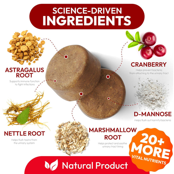 Dog UTI Treatment Cranberry Multivitamin Supplement