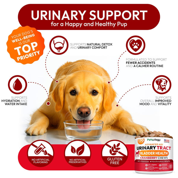 Dog UTI Treatment Cranberry Multivitamin Supplement
