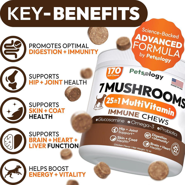 Mushroom Chews for Dogs 340 Count 2-Pack Turkey Tail Lion's Mane Shiitake & Reishi