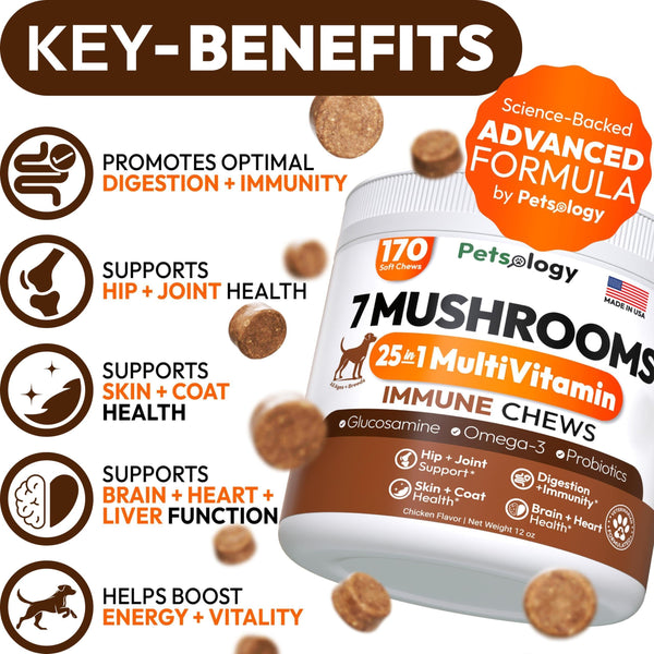 Mushroom Multivitamin Chews for Dogs