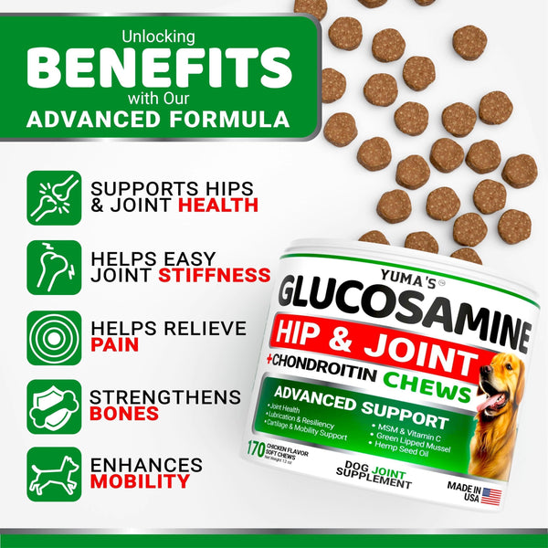 Glucosamine for Dogs Hip & Joint Supplement 170 Chews