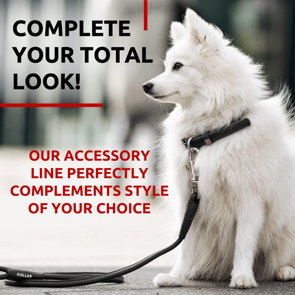 Rolled Leather Dog Leash 4 ft x 0.3 in All Sizes Black