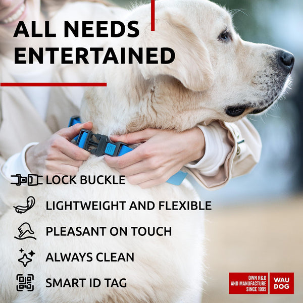 Waterproof Dog Collar Adjustable 14–23 in Neck x 1 in Wide Buckle & QR Tag Blue