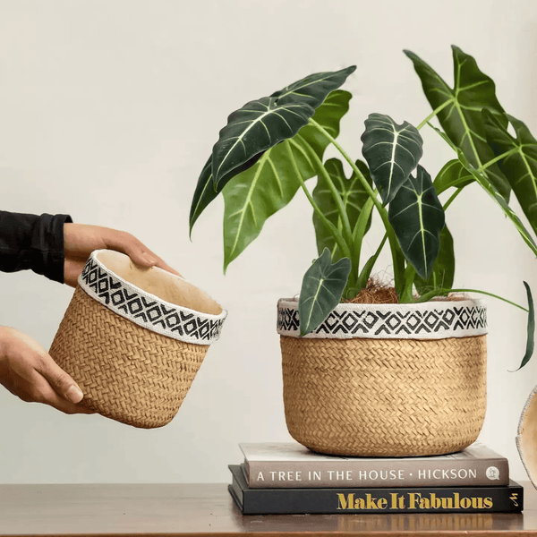 Patterned Rattan Cement Planter