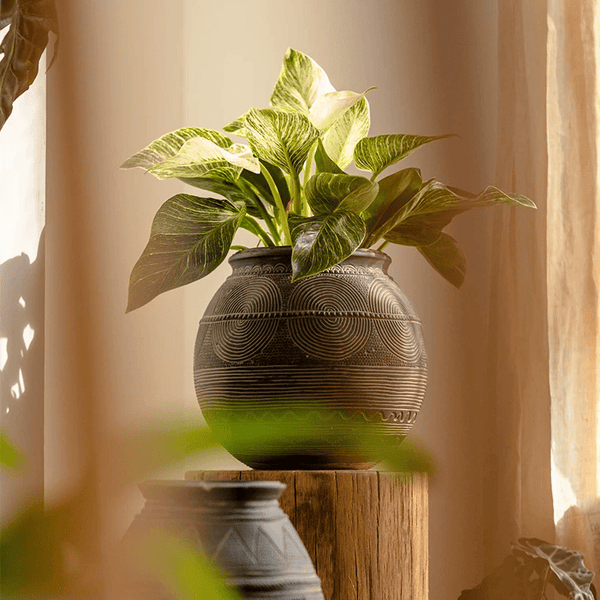 Tribal Carved Cement Planter