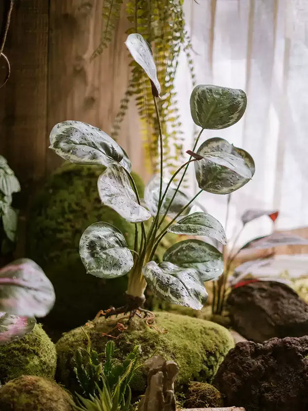 Wild Tropical Leaf Bunch
