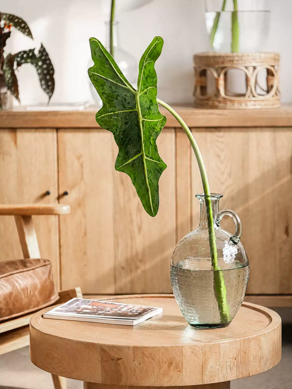 Statement Alocasia Leaf – 34.3"