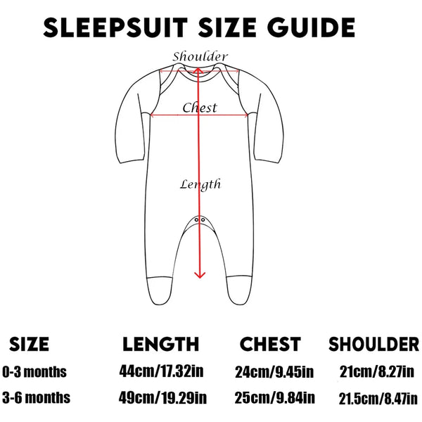 The Princess Has Arrived Print Baby Babygrow Sleepsuit – Newborn Coming Home Vest Bodysuit, Hospital Clothes, Infant Shower Gift