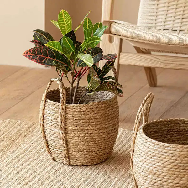 Meadow Woven Storage Basket