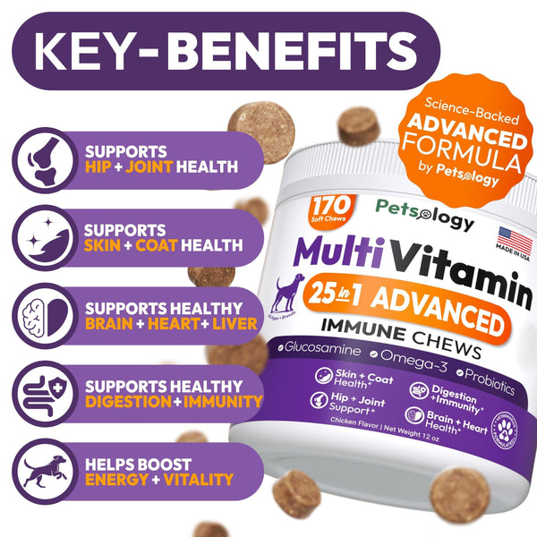Dog Multivitamin Chews with Glucosamine 170 Count Hip & Joint