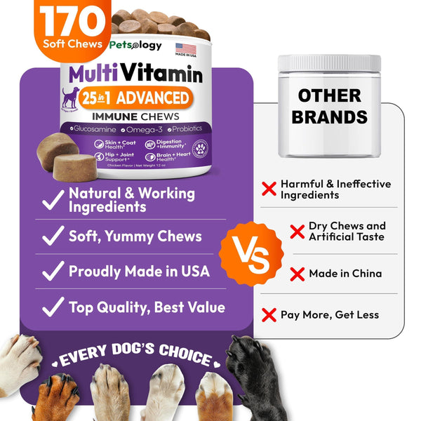Dog Multivitamin Chews with Glucosamine 170 Count Hip & Joint