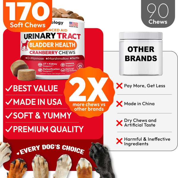 Dog UTI Treatment Cranberry Multivitamin Supplement