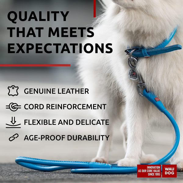 Rolled Leather Dog Leash 4 ft x 0.3 in All Sizes Blue