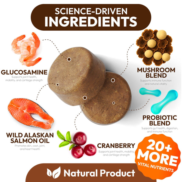 Mushroom Multivitamin Chews for Dogs