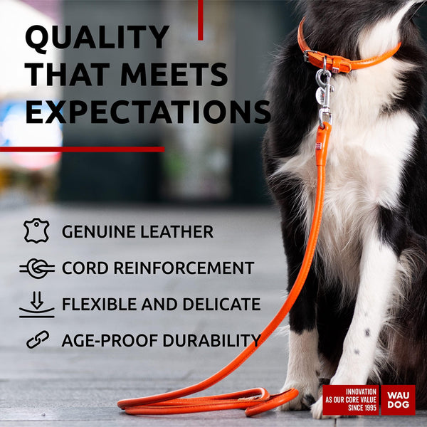 Rolled Leather Dog Leash 4 ft x 0.4 in All Sizes Orange