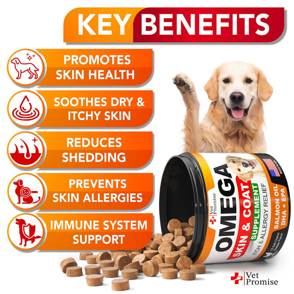 Omega-3 Fish Oil Chews for Dogs 120 Count Skin & Coat Supplement