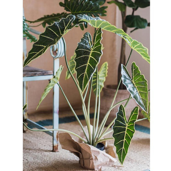 Artificial Faux Alocasia Plant In Pot 31" Tall