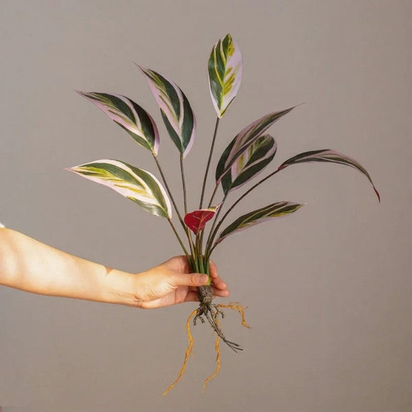 Wild Tropical Leaf Bunch