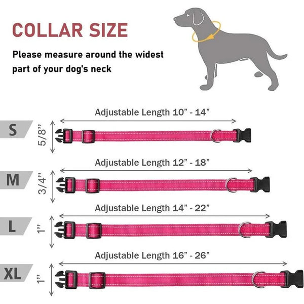 Reflective Nylon Dog Collar | Adjustable Safety Strap for Small and Medium Dogs