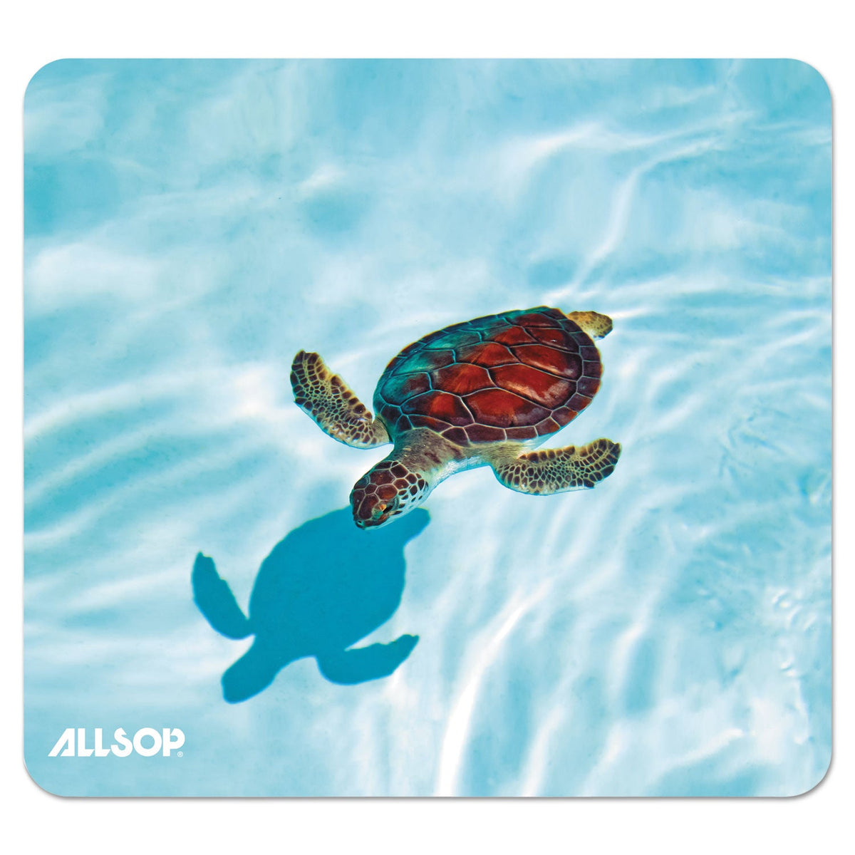 Allsop Naturesmart Mouse Pad, 8.5 x 8, Turtle Design