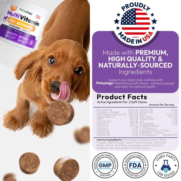Dog Multivitamin Chews with Glucosamine 170 Count Hip & Joint
