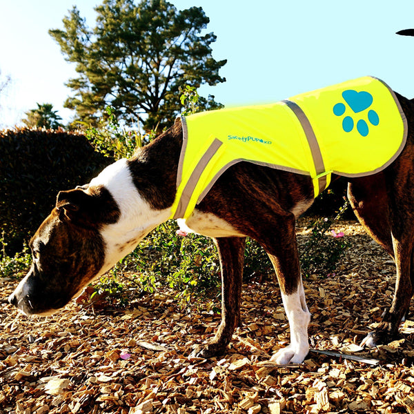 Reflective Dog Vest Hi-Vis L Size Yellow