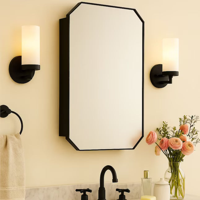 TEHOME 18" x 26" Matte Black Medicine Cabinet – Modern Bathroom Mirror & Storage