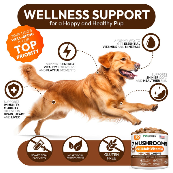 Mushroom Multivitamin Chews for Dogs