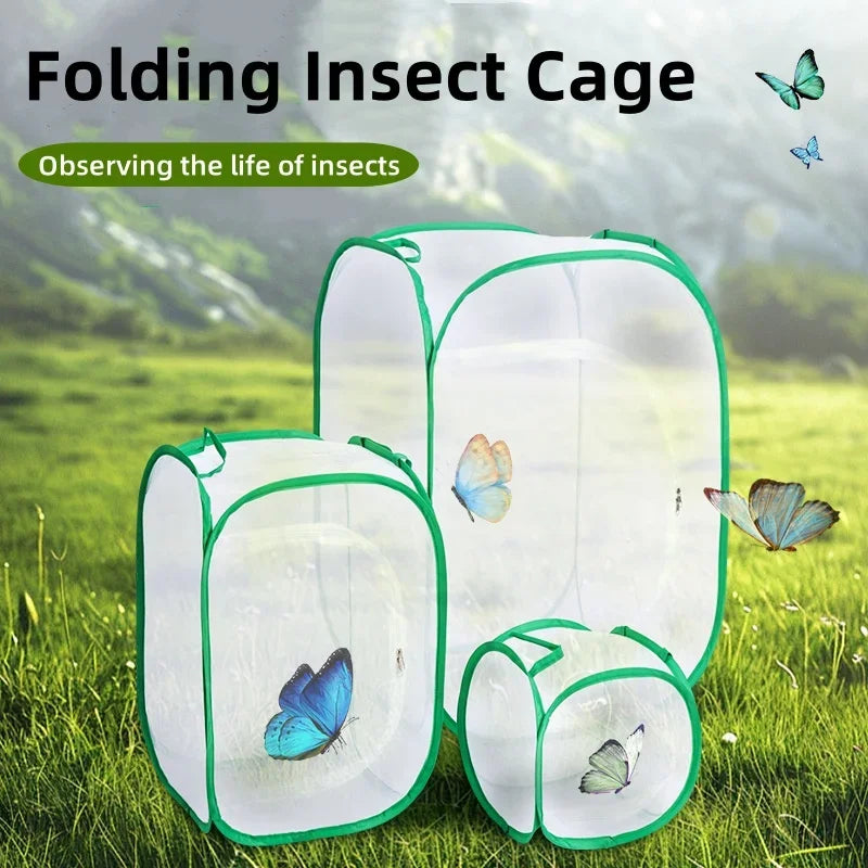 Collapsible Pop-Up Insect Cage Butterfly Habitat Mesh Net – Small/Medium/Large (30/60/90 cm | 12/24/35 in) - Green/Black