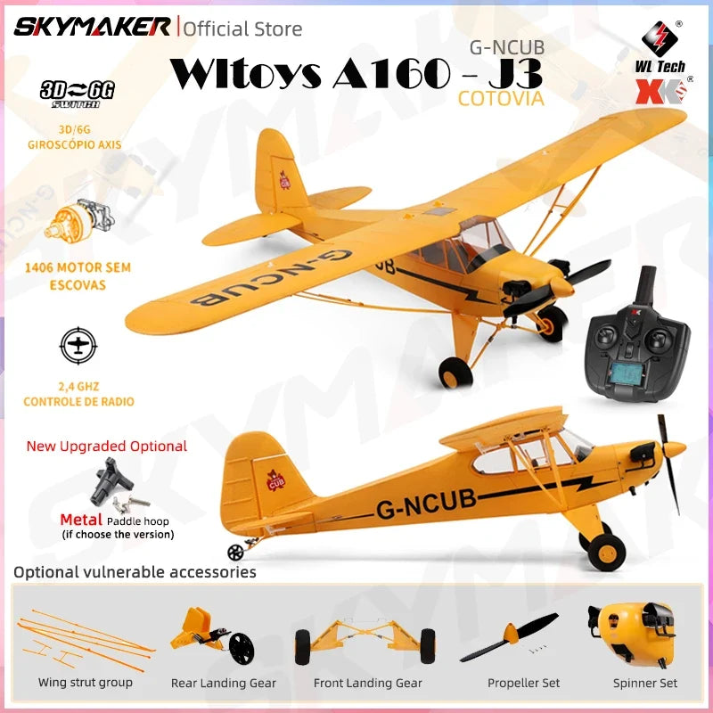 5CH Brushless RC Glider
