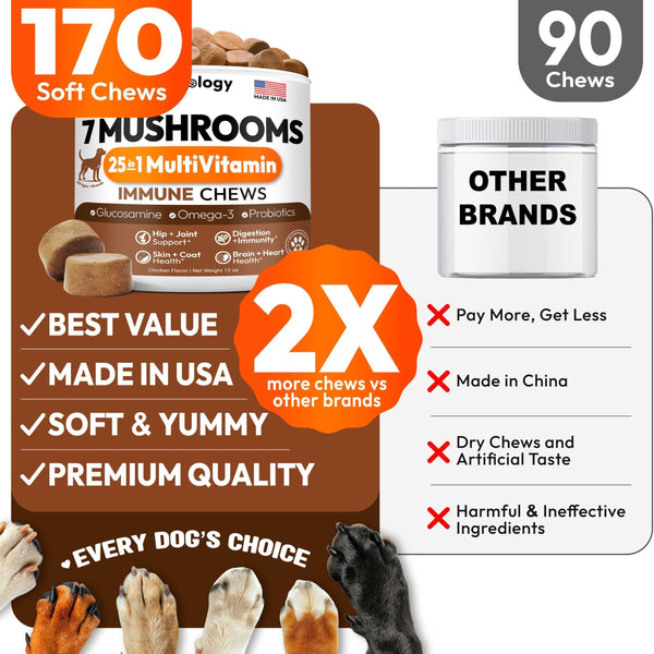 Mushroom Multivitamin Chews for Dogs