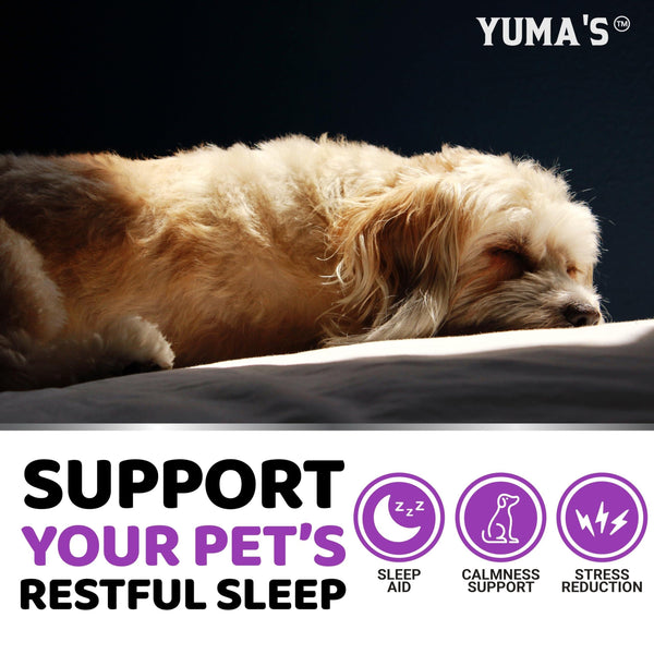 Melatonin Calming Chews for Dogs 170 Count Anxiety Relief