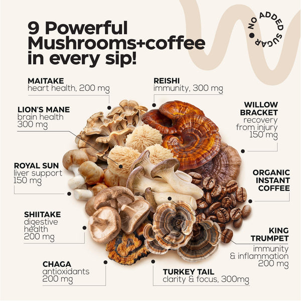 Mushroom Coffee 9 Mushroom Adaptogen Mix Lions Mane Chaga Turkey Tail Reishi