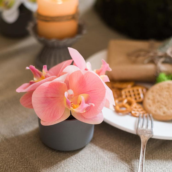 Artificial Flower Mini Real Touch Orchid in Peach Pink · ColorPopMart