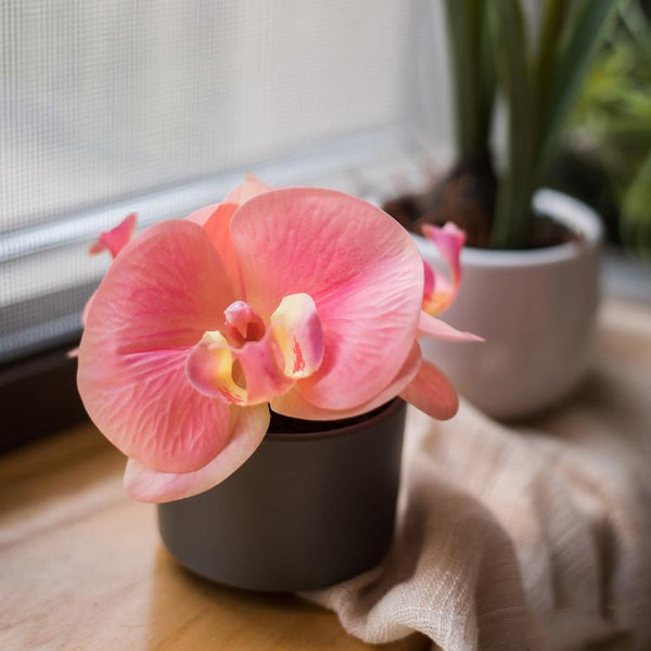 Artificial Flower Mini Real Touch Orchid in Peach Pink · ColorPopMart